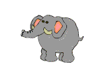 elephant elephant