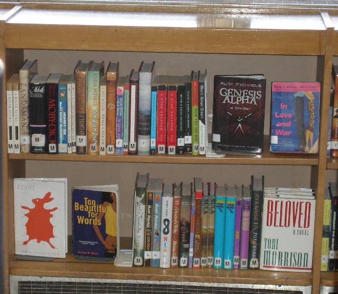 Canarsie High School Library Fiction section