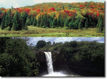 picyure of earth's biomes