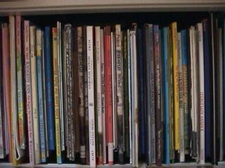 shelf of picture books