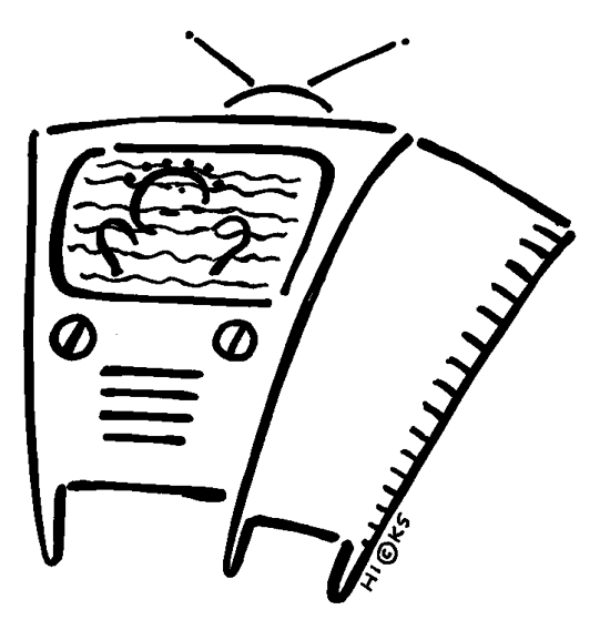 TV