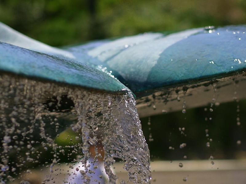 fountain, broad green leaves with water running down