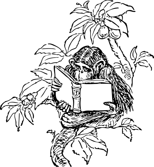 monkey reading