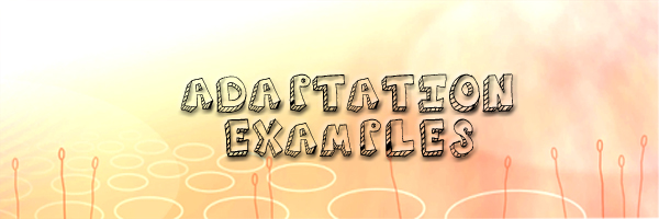 adaptation examples