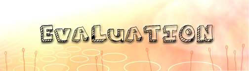evaluation
