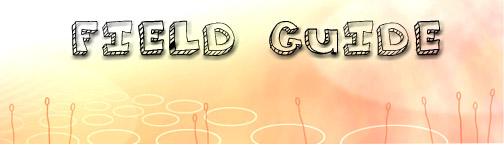 Field Guide
