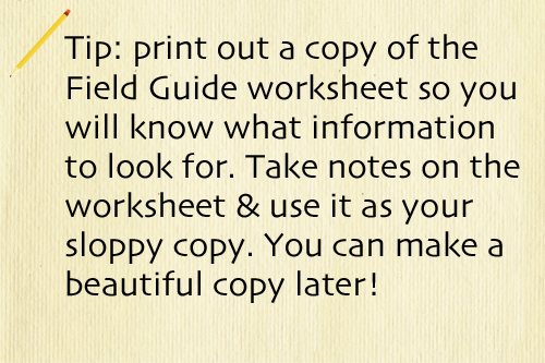 tip