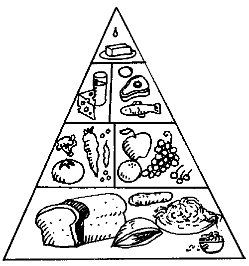 Healthy+food+pyramid+cartoon